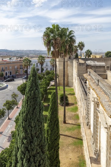 Green garden with cypresses and palm trees along a historic wall, Jerez