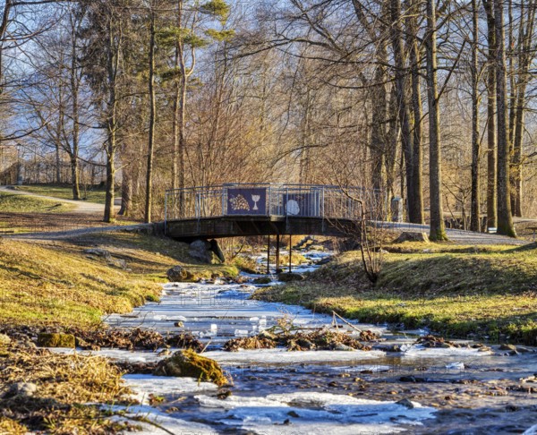 A small bridge over a stream in an autumnal forest, surrounded by bare trees and soft light, Bad