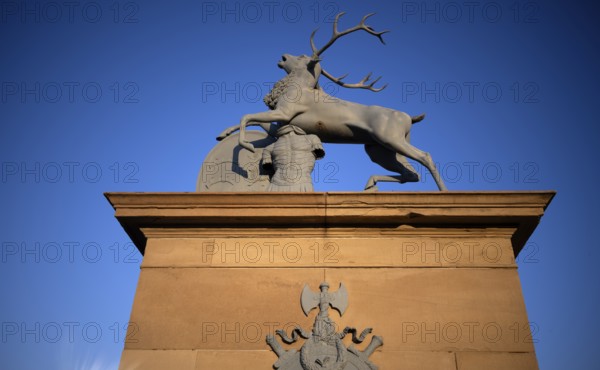 Heraldic stag by Anton von Isopis in front of the main portal and cour d'honneur Neues Schloss,
