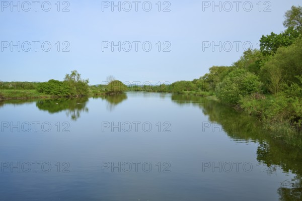 Tranquil landscape with a lake and trees under a clear sky, Kinzigsee, Langenselbold, Hanau, Hesse,