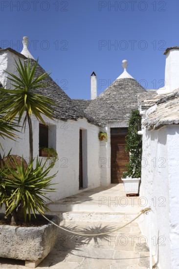 Trulli houses in Alberobello, Apulia, Italy, Europe