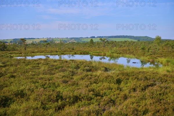 A tranquil moor lake bog eye in a green landscape under a blue sky, Schwarzes Moor, Fladungen,