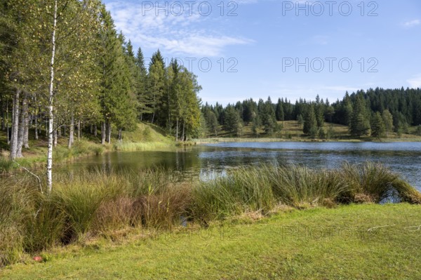 Wildensee am Kranzberg, Mittenwald, Werdenfelser Land, Upper Bavaria, Bavaria, Germany, Europe