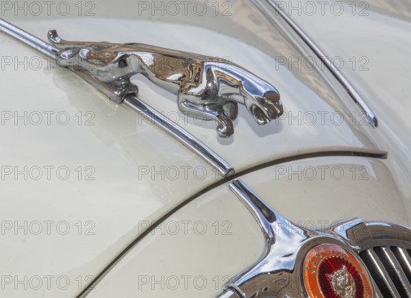 Hood ornament on a Jaguar automobile car
