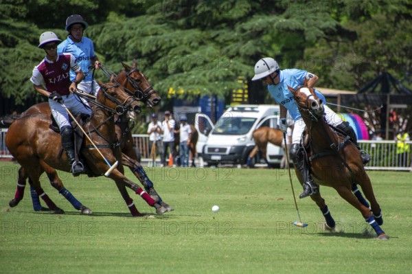 Scene from the 131st Argentine Open Polo Championship (Spanish: Campeonato Argentino Abierto de