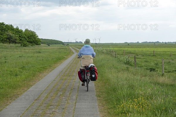 Cyclist, Weser cycle path, Wurster Land, Lower Saxony, Germany, Europe