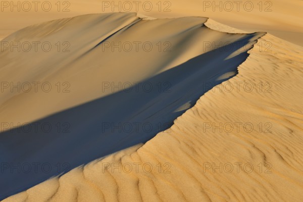 Sand dunes in a desert with distinct shadows and wave patterns in the sunlight, Matruh, Great Sand
