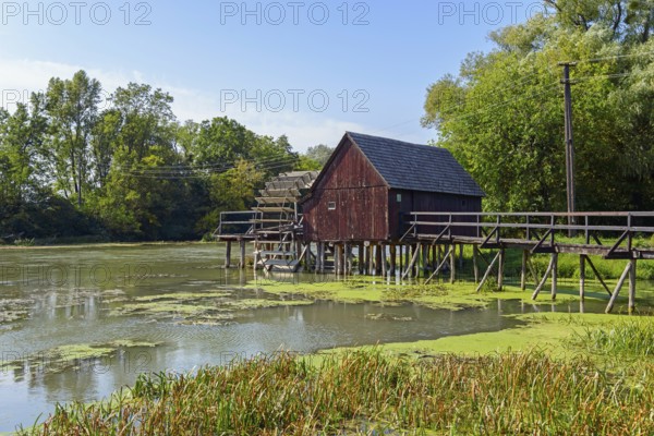 Wooden house on stilts on the banks of the Little Danube and reeds in the foreground, water wheel