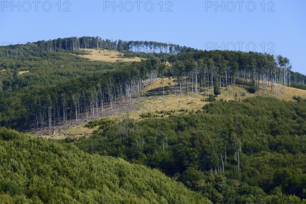 A hill with a partially deforested area under a blue sky, Pezinska Baba ski resort, Pezinská Baba,