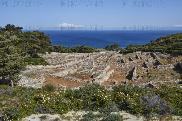 Ruins of an ancient city overlooking the sea, surrounded by vegetation under a blue sky, Kamiros,