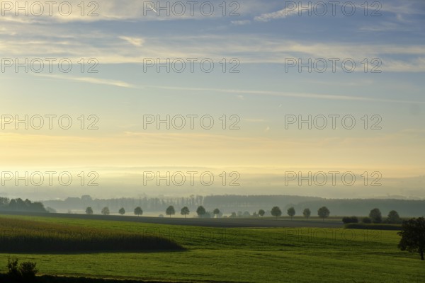 Landscape at sunrise with fog, Offingen am Bussen, Swabian Alb, Upper Swabia, Swabia,