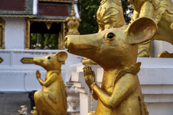 Statues of rats guard the Buddhist temple Wat Phra That Si in Chom Thong, Thailand, Asia