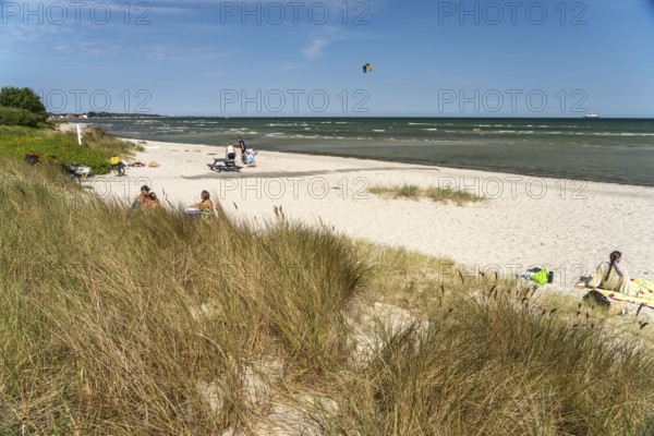 On the beach at Spodsbjerg, Langeland Island, Denmark, Europe