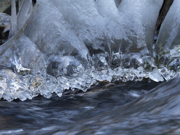Icicle on the bank of a stream, winter, Upper Franconia, Germany, Europe