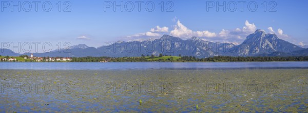 Hopfensee, behind it Hopfen am See, Tegelberg, 1881m, and Saeuling, 2047m, Ostallgaeu, Allgaeu,