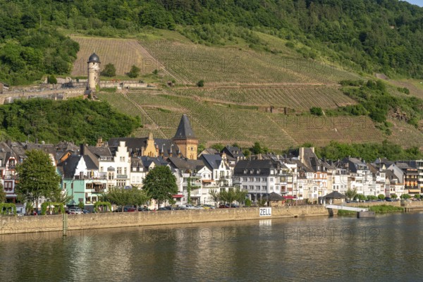View of the Moselle and the village of Zell, Rhineland-Palatinate, Germany, Europe