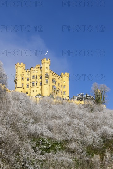 Yellow castle on a snowy hill with blue sky and snow-covered trees in the foreground,