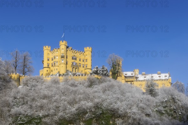 A castle majestically enthroned on a snow-covered hill with a blue sky, Hohenschwangau Castle,