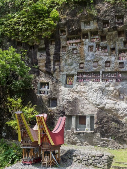 Ancient tombs, rock tombs, Lemo, Tana Toraja, Sulawesi, Indonesia, Asia
