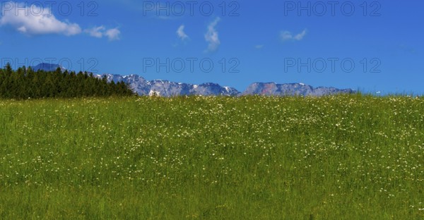 Landscape at Tauglgries in Bad Vingau, Austria, Europe