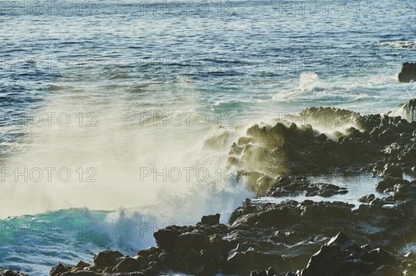 Landscape of rocks in the sea at Ka?ena Point State Park, Hawaiian Island Oahu, O?ahu, Hawaii,