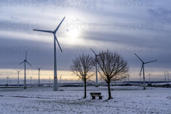 Wind farm, north of Lichtenau, self-proclaimed energy town, over 190 wind turbines and over 1200