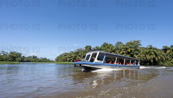 Tourists on a boat, Rio Suerte river in the rainforest, dense vegetation, Tortuguero National Park,