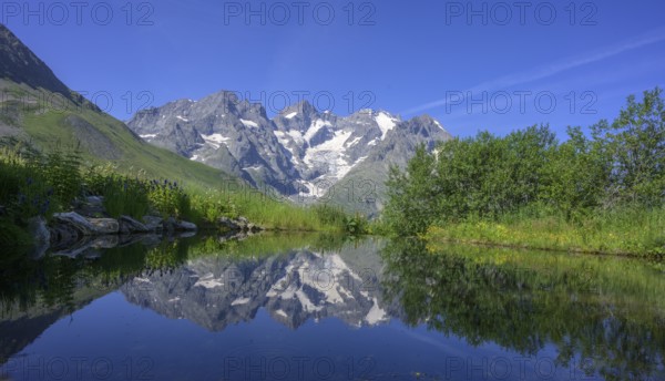 Pointe Piaget and La Meije reflected in the pond of the botanical garden Jardin du Lautaret,