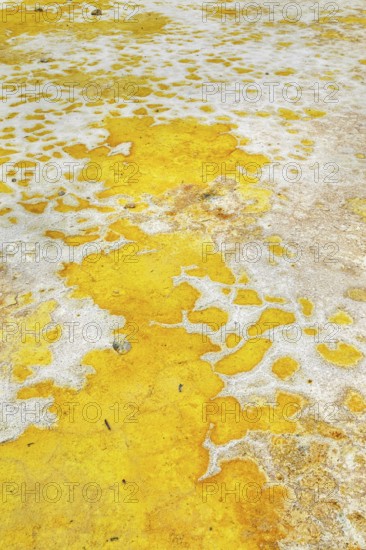Splashes of sulphur colouring Stefanos crater ground, Nisyros Island, Dodecanese Islands, Greece,