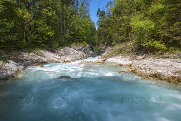 Rissbach stream in spring, Rissbach gorge near Hinterriss, Hinterriss, Bavaria, Germany, Europe