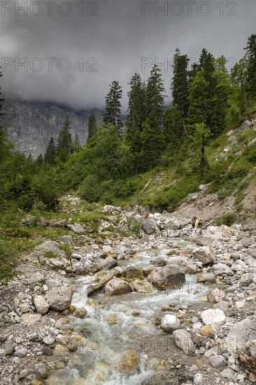 Stream in Enger-Grund in summer, behind it the Laliderer walls, Enger-Grund, Karwendel Mountains,