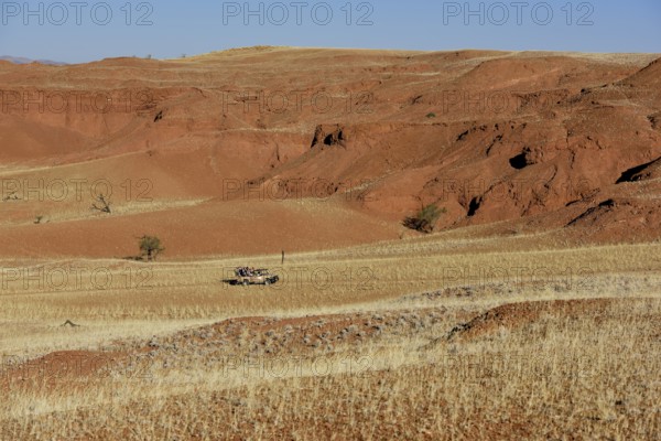 Off-road vehicle with tourists in the grassy landscape of Gondwana Namib Park, near Sesriem, Hardap