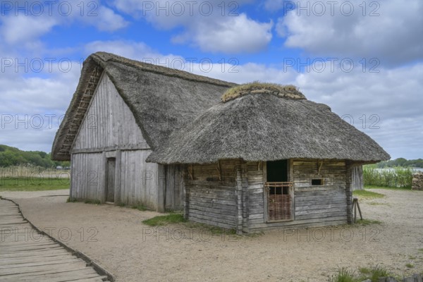 Thatched historic house, village, Viking Museum Haithabu, Schleswig, Schleswig-Holstein, Germany,