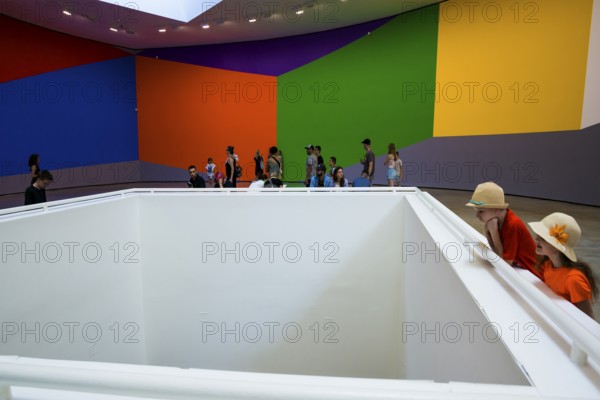 Guggenheim Museum, architect Frank Gehry, interior view, artist Sol Lewitt, Bilbao, Basque Country,