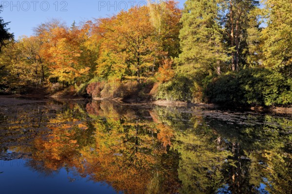 Kromlau Castle Park Rakotz Bridge