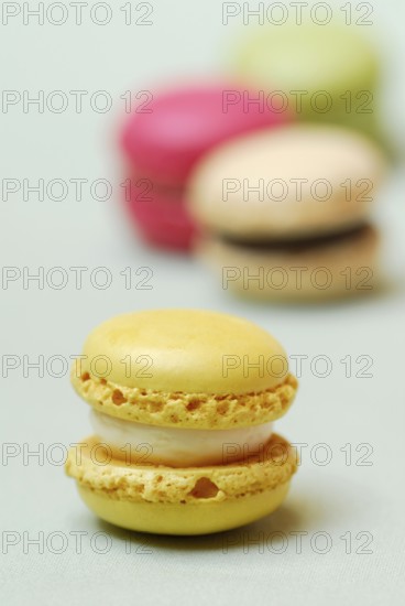 Luxemburgerli confectionery, Macaron, speciality of Confiserie Sprüngli