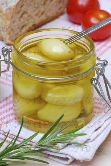 Garlictoes (Allium sativum) in olive oil, with rosemary