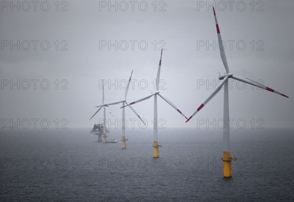 Offshore wind farm Baltic 1, wind turbine, windmill, windmills, wind turbines,