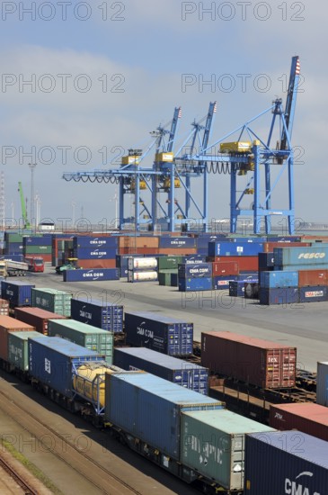 Container terminal cranes in the port of Zeebrugge, Belgium, Europe