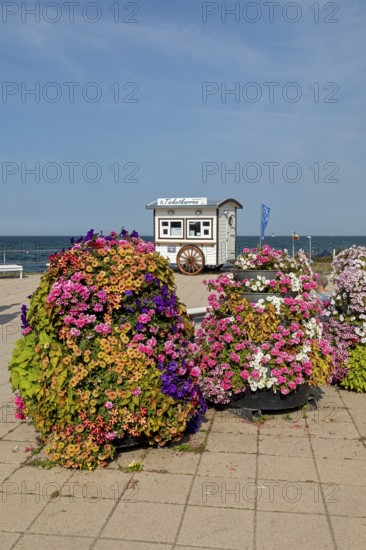 Ticket carts, flowers, beach promenade, Kühlungsborn, Mecklenburg-Western Pomerania, Germany,