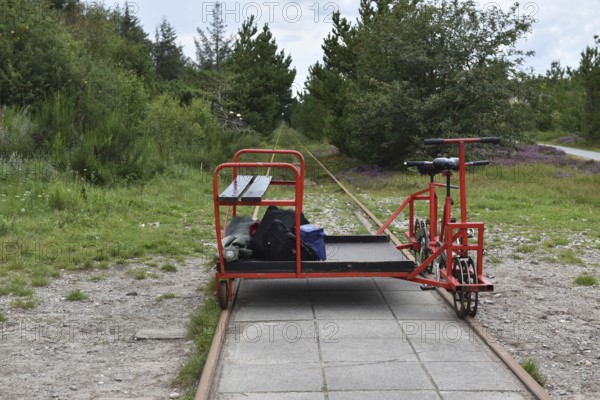 Trolley in the forest, Denmark, Europe