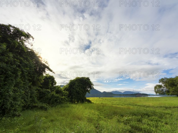 Primeval forest trees and grasslands, Kandalama Lake, Dambulla, Sri Lanka, Asia