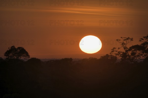 Sunrise over Adolpho Ducke Forest Reserve, Manaus, Amazonia State, Brazil, South America