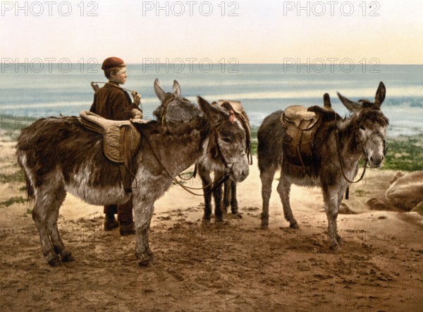 Day labourer waiting for work with his donkey, England, around 1890, Historic, digitally restored
