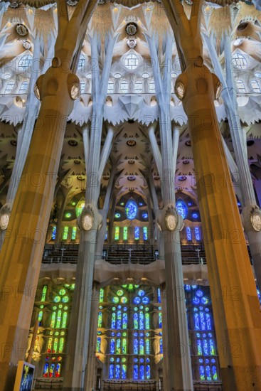 Interior view of the Familia Sagrada by the architect Antonio Gaudi in Barcelona, Spain, Europe