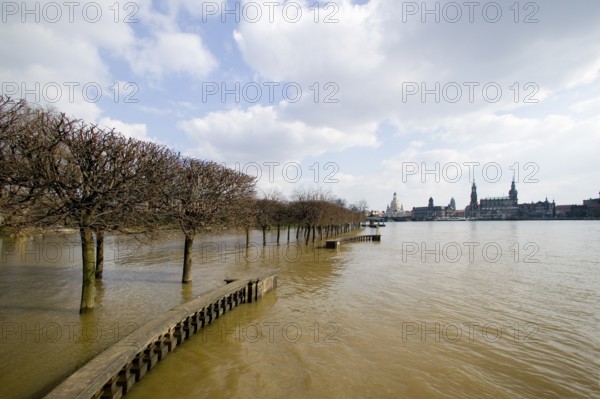 Spring flooding of the Elbe in Dresden