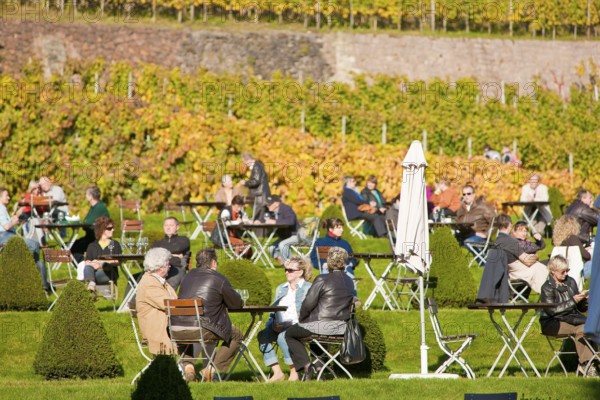 Schloss Wackerbarth or Wackerbarths Ruh' is a baroque castle surrounded by vineyards in the