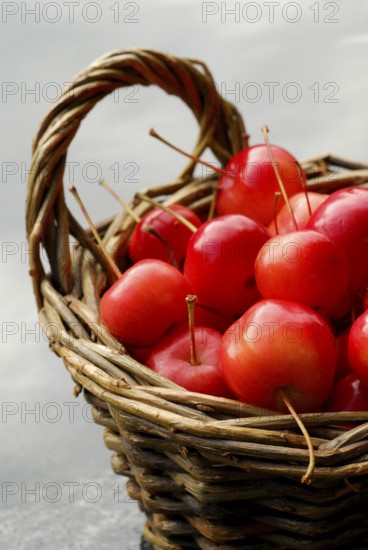 Ornamental apples (Malus), basket