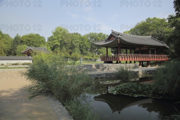 Korean Garden with Temple Pavilion Plum Arbour and Pond, Grüneburgpark, Chinese, Garden Art,