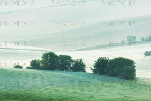 Rolling landscape of green fields in South Moravia, Czech Republic in early morning